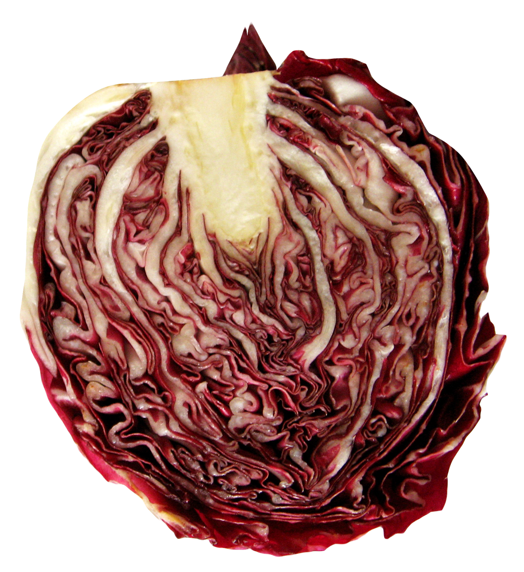 Cabbage Half Free PNG HQ Transparent PNG Image