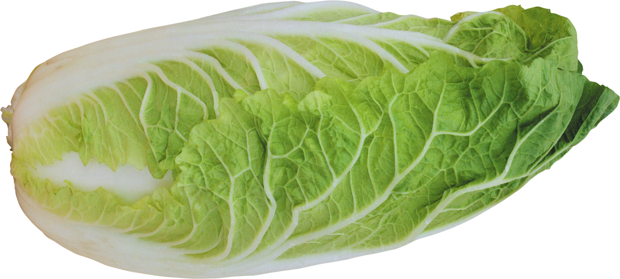 Cabbage Half Free Download Image Transparent PNG Image