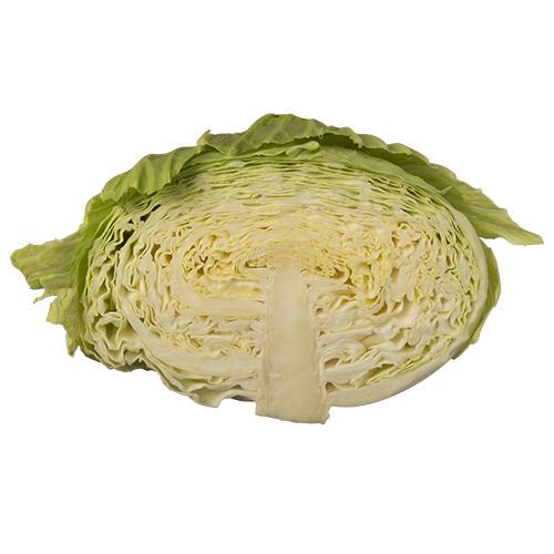 Fresh Cabbage Half Free Download Image Transparent PNG Image