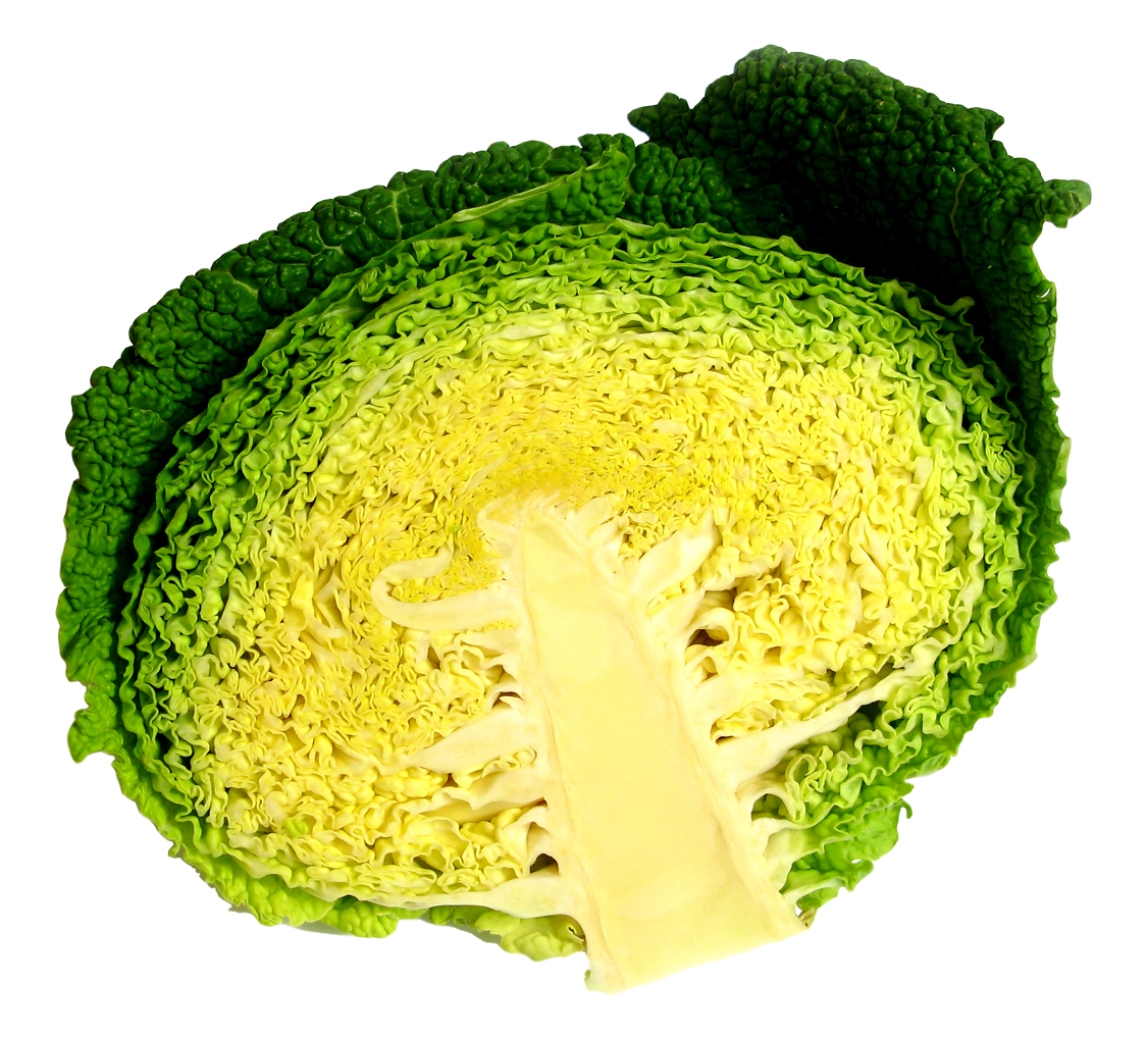 Fresh Cabbage Half Free Transparent Image HQ Transparent PNG Image