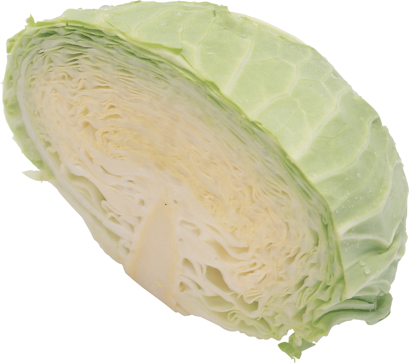 Cabbage Png Image Transparent PNG Image