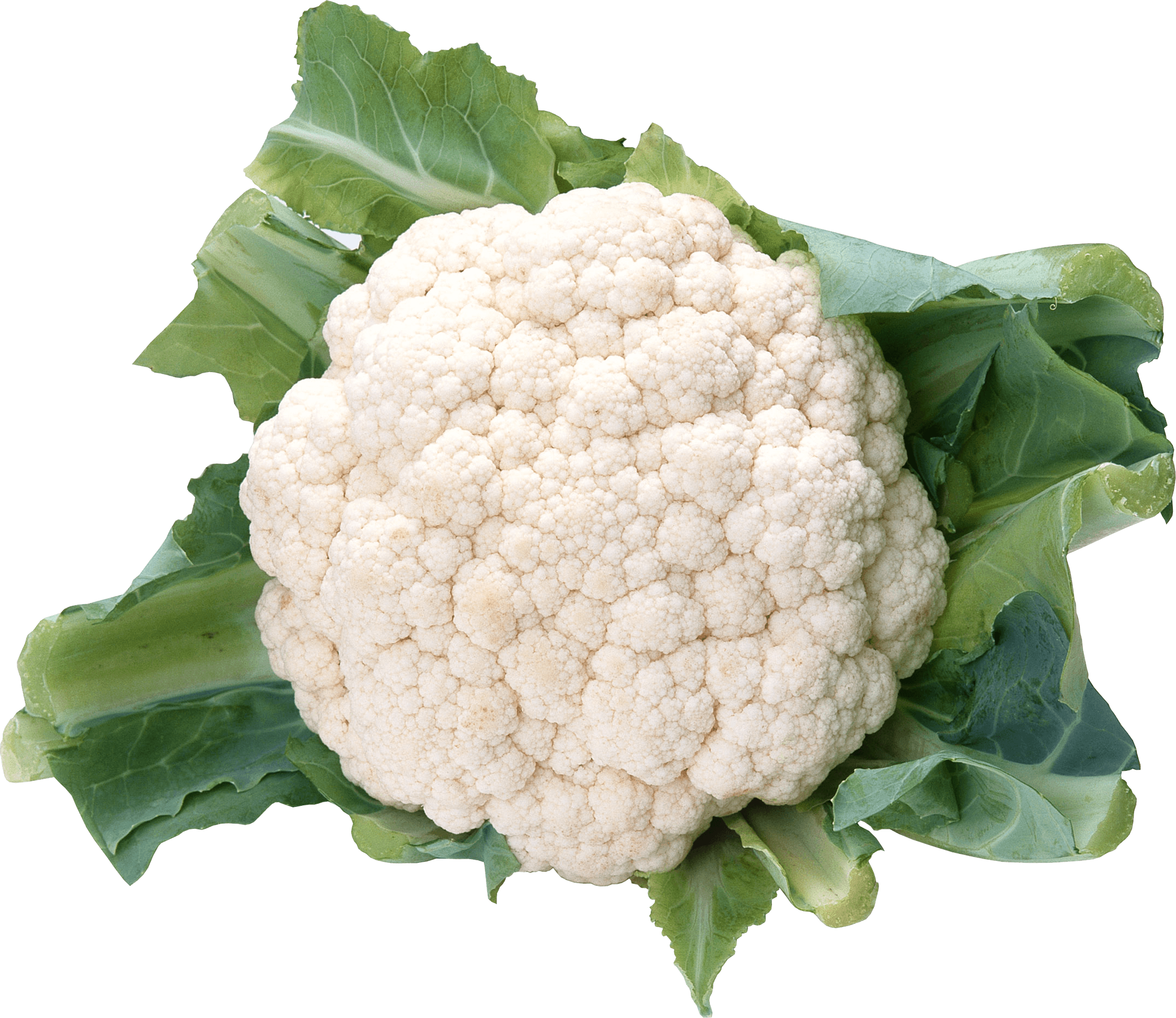 Cauliflower Png Image Transparent PNG Image