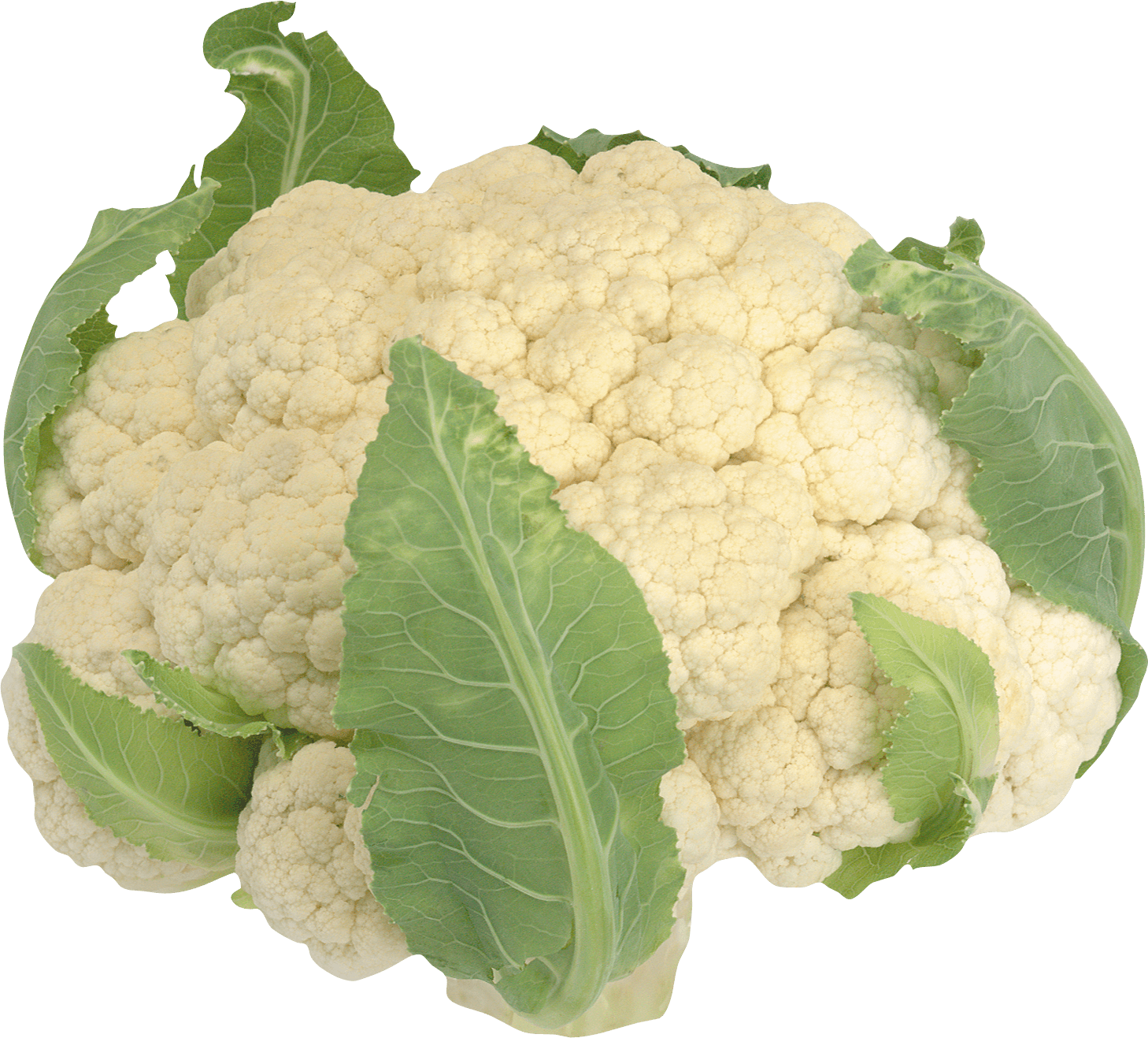 Cauliflower Png Image Transparent PNG Image