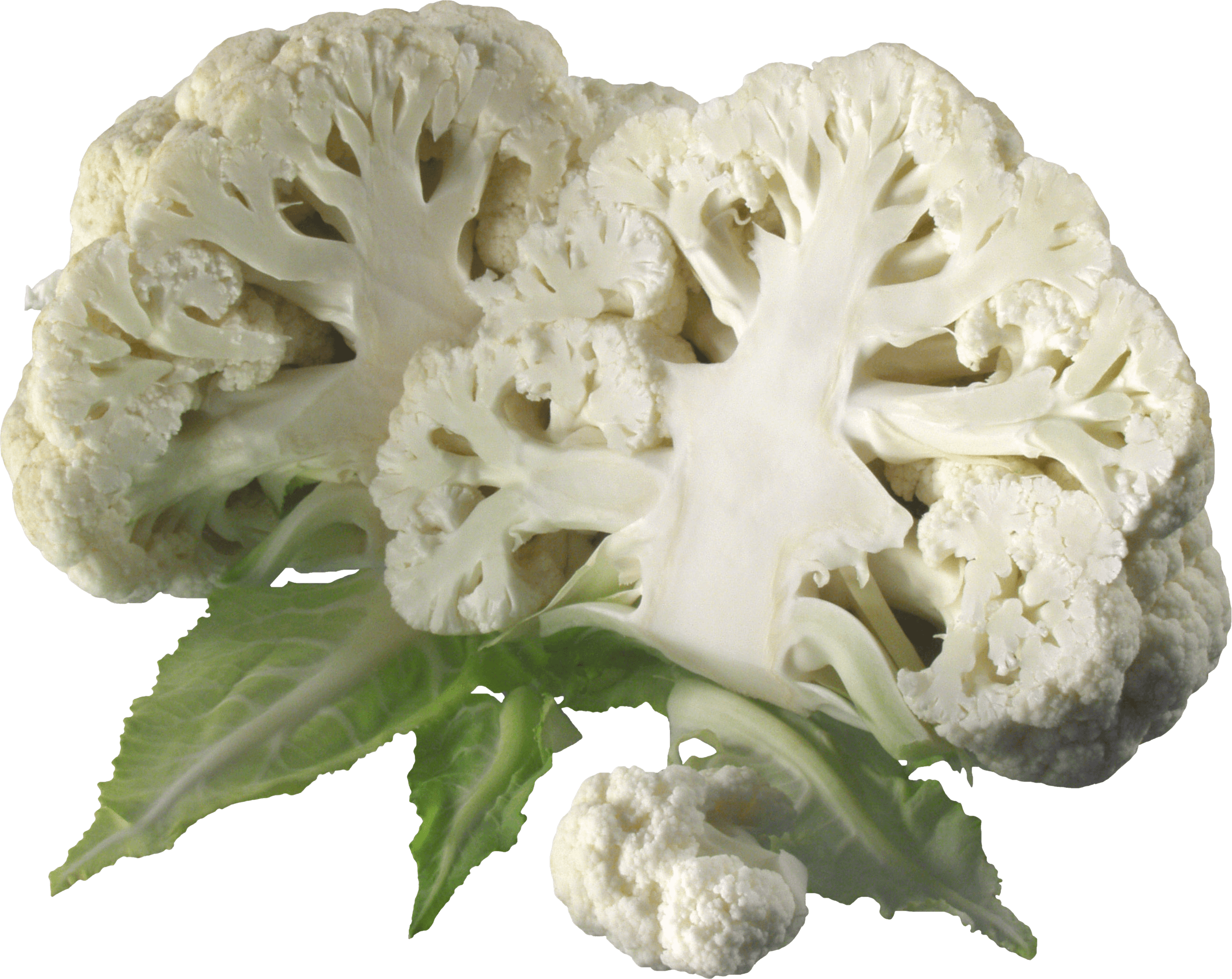 Cauliflower Png Image Transparent PNG Image