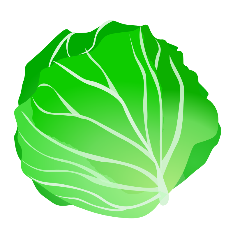 Cabbage Clip Art Transparent PNG Image