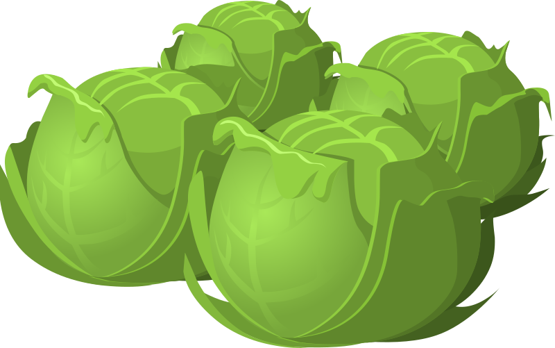 Cartoon Cabbage Food Transparent PNG Image