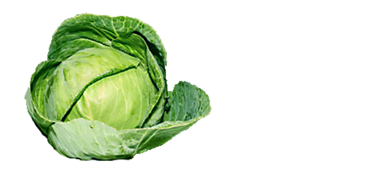 Organic Green Cabbage Transparent PNG Image