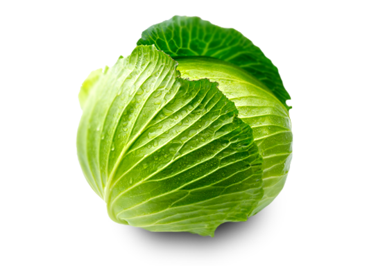 Green Cabbage Transparent PNG Image