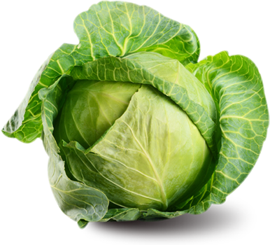 Cabbage Family Vegetable Transparent PNG Image