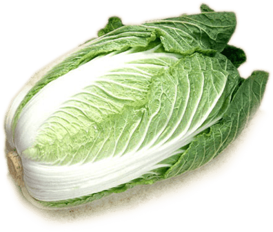 Cabbage Png Image Transparent PNG Image