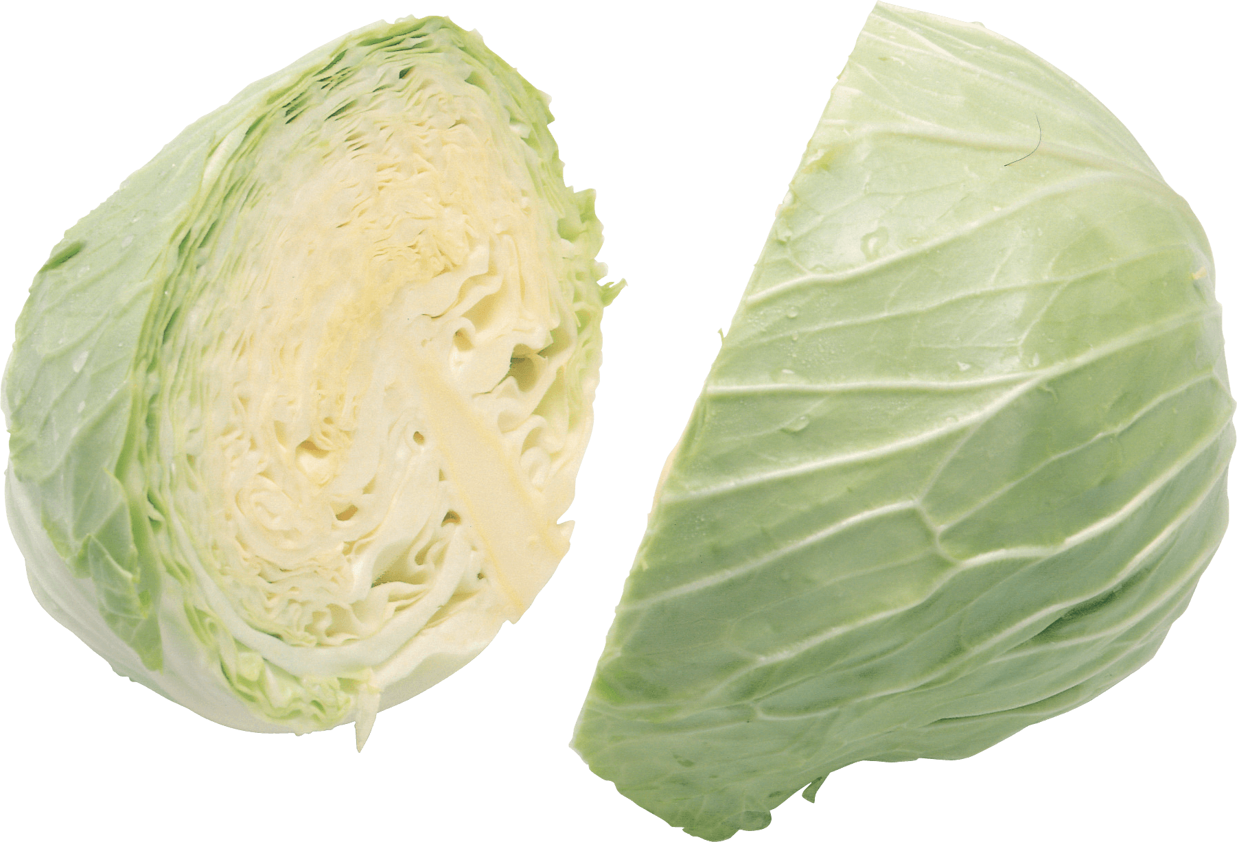 Cabbage Png Image Transparent PNG Image