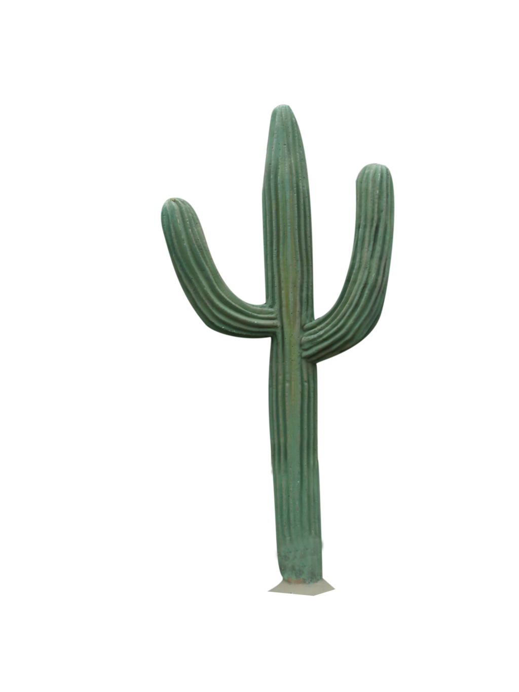 Cactus Png 4 Transparent PNG Image