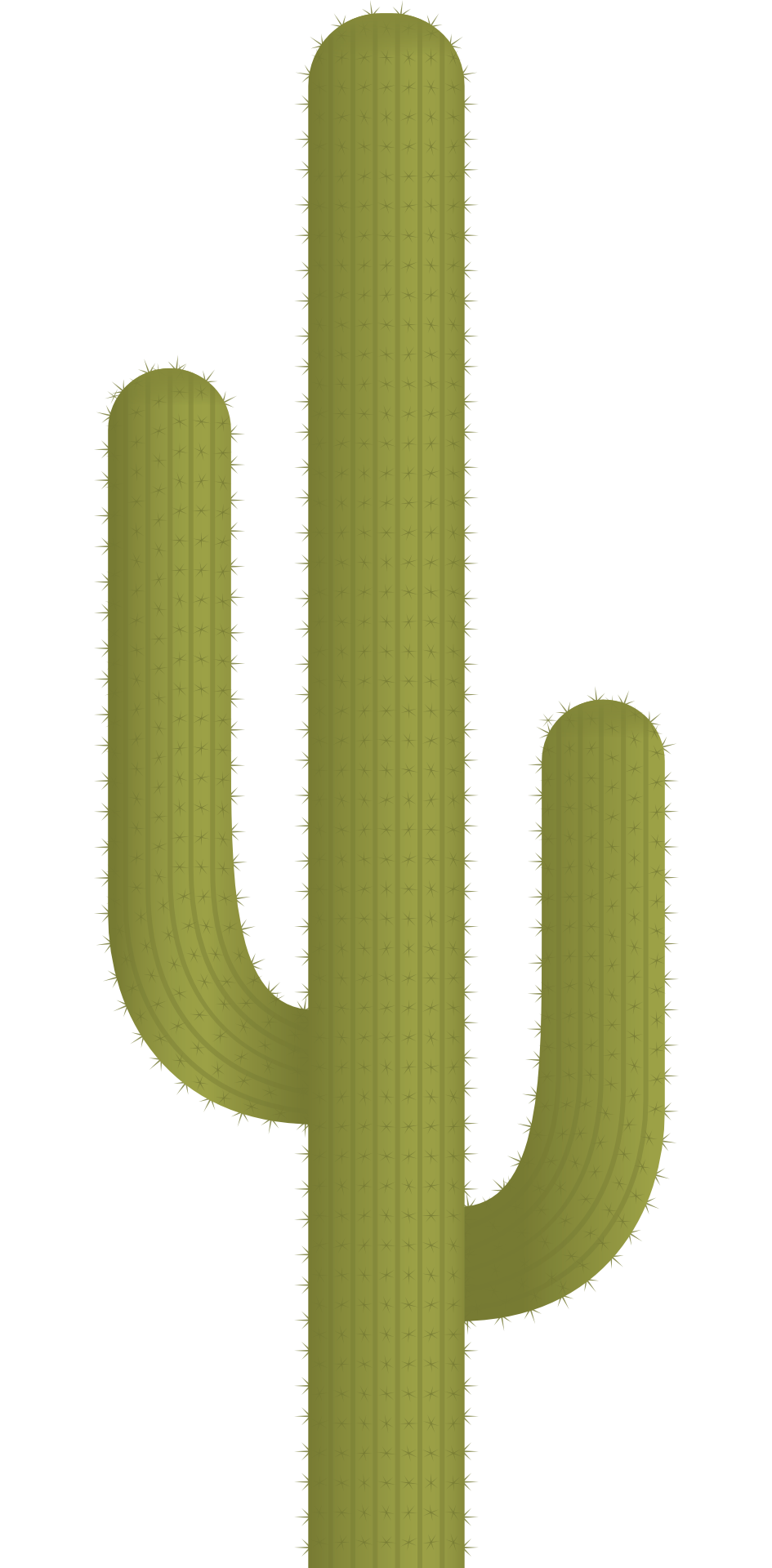 Vector Plant Cactus PNG Download Free Transparent PNG Image