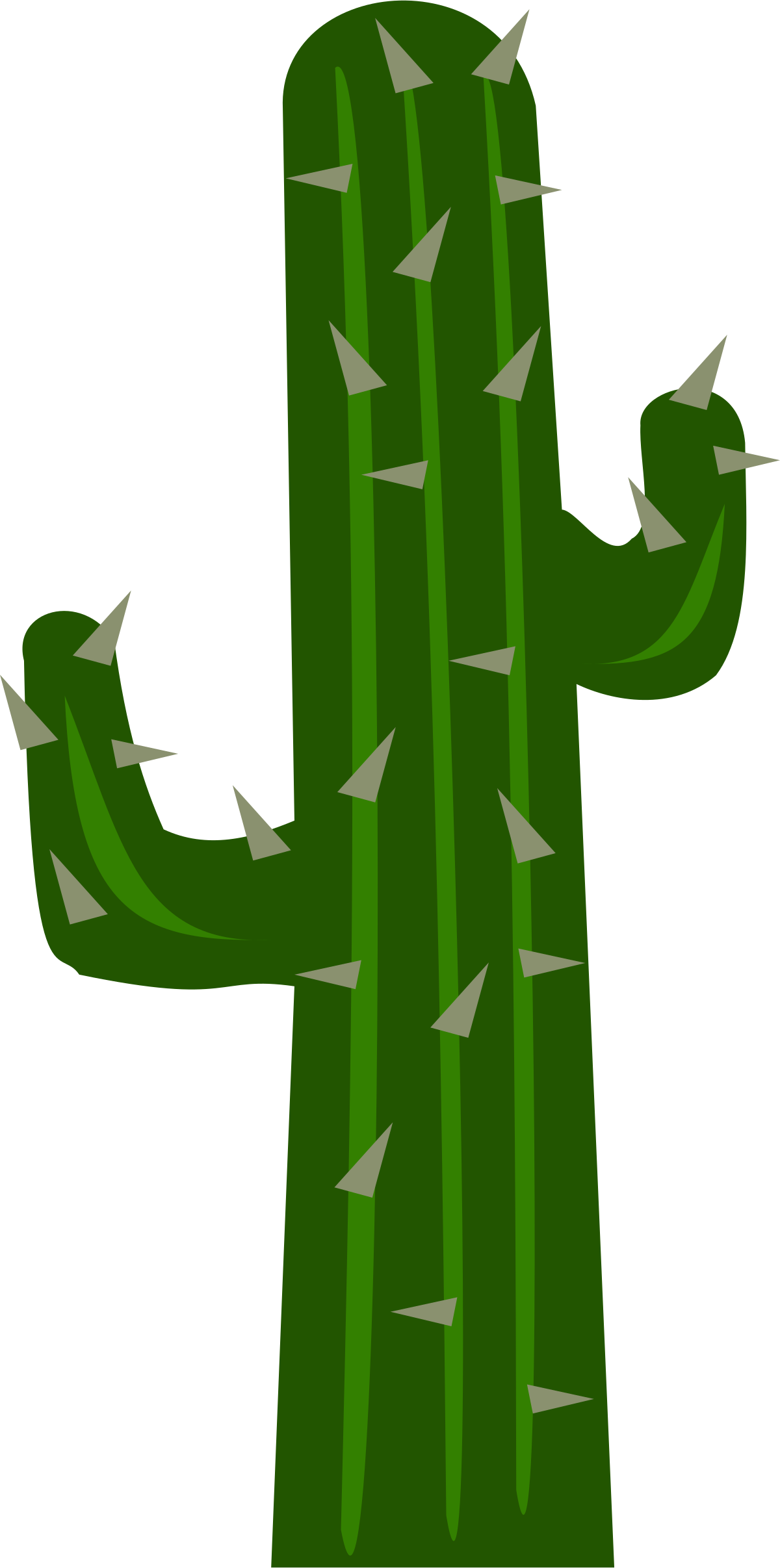 Vector Photos Plant Cactus Green Transparent PNG Image