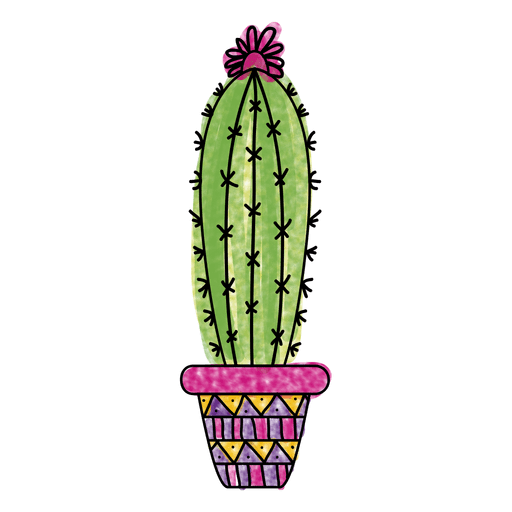 Vector Plant Prickly Cactus Free Download Image Transparent PNG Image