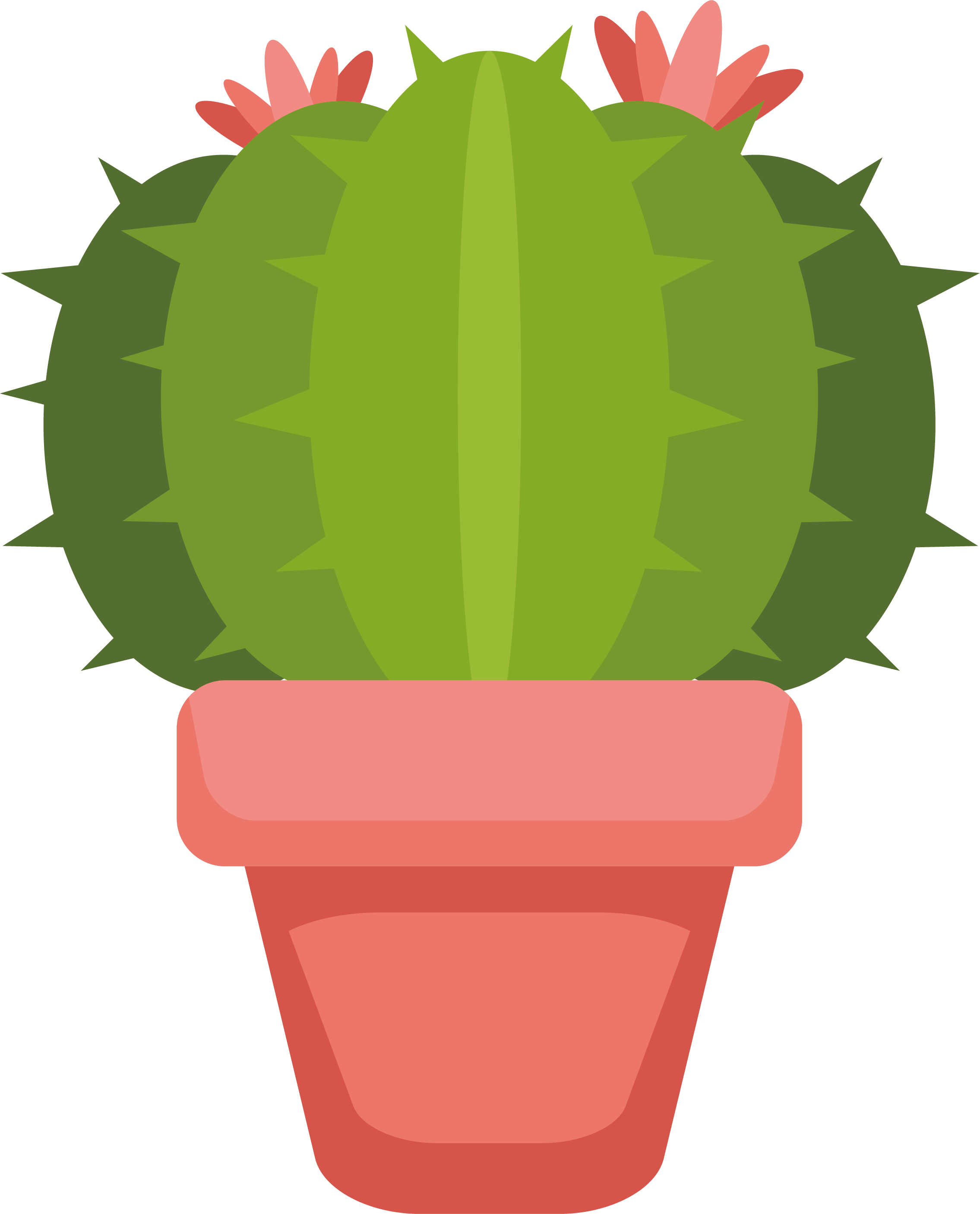 Tropical Plant Cactus Vector Free HQ Image Transparent PNG Image