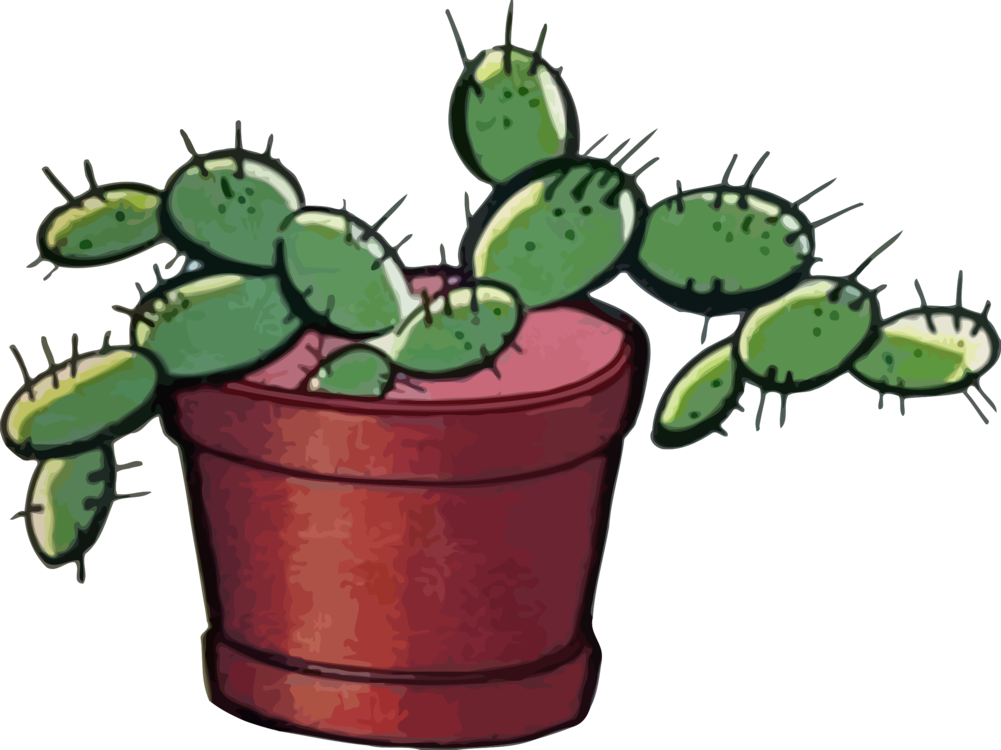 Cactus Prickle Download HD Transparent PNG Image