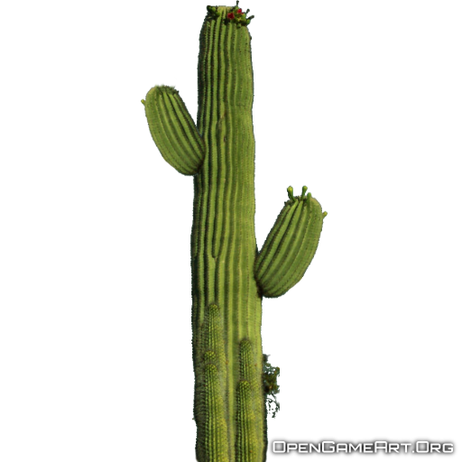 Cactus Transparent Transparent PNG Image