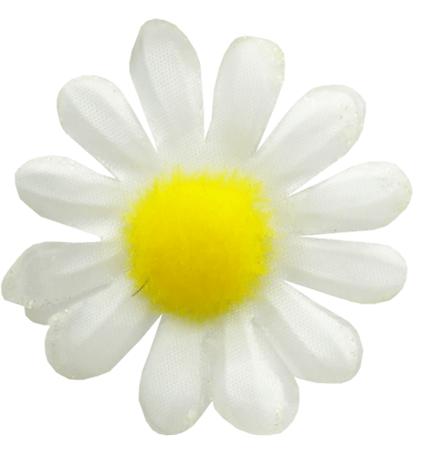 Camomile Png Image Transparent PNG Image