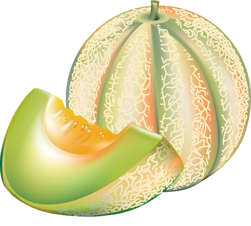 Cantaloupe Free Download PNG HQ Transparent PNG Image