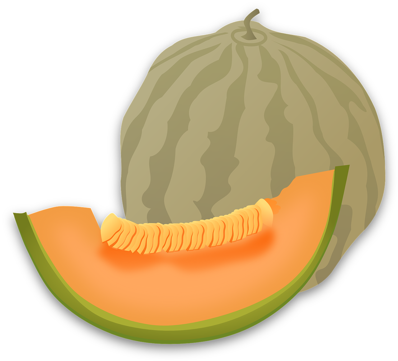 Cantaloupe Slices Free Download PNG HD Transparent PNG Image