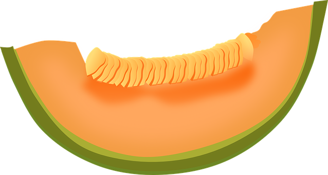 Cantaloupe Slices Free Download Image Transparent PNG Image