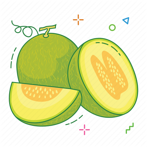 Cantaloupe Slices Download HQ Transparent PNG Image