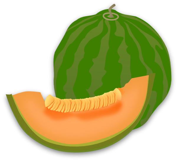 Cantaloupe Slices Free Download Image Transparent PNG Image