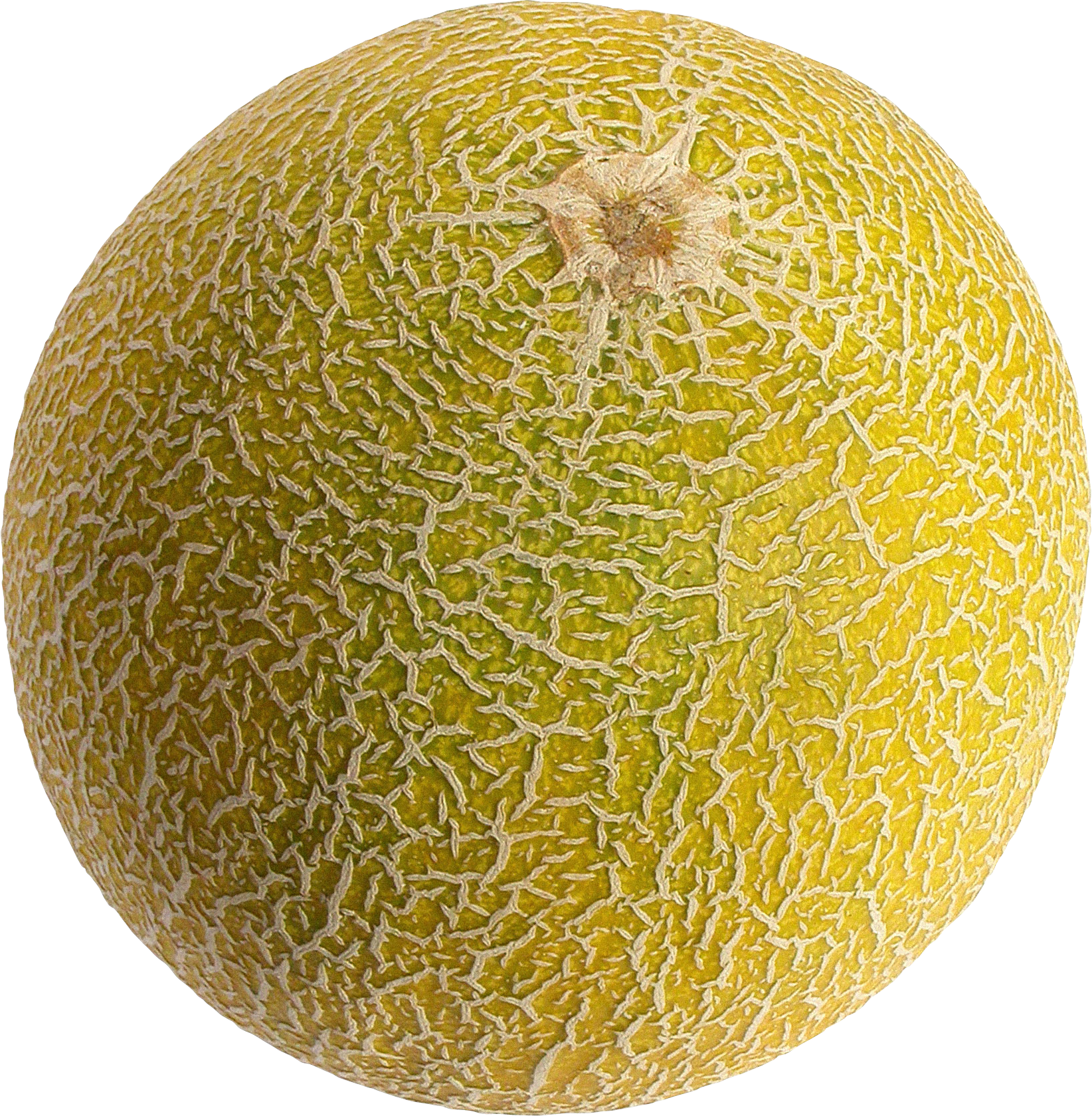 Fresh Cantaloupe Free Download Image Transparent PNG Image