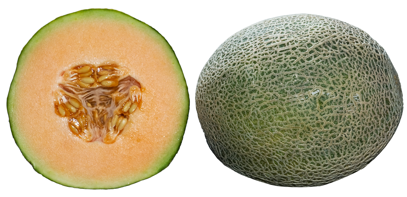 Fresh Cantaloupe Download Free Image Transparent PNG Image