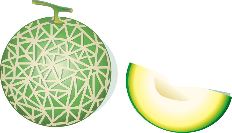 Cantaloupe Green Free Clipart HQ Transparent PNG Image