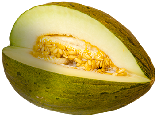 Cantaloupe Green PNG Download Free Transparent PNG Image