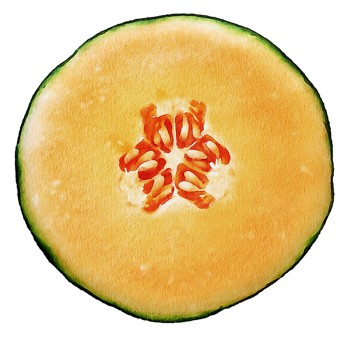 Cantaloupe Half HQ Image Free Transparent PNG Image