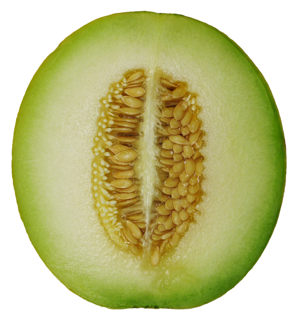 Cantaloupe Half Free Download PNG HQ Transparent PNG Image