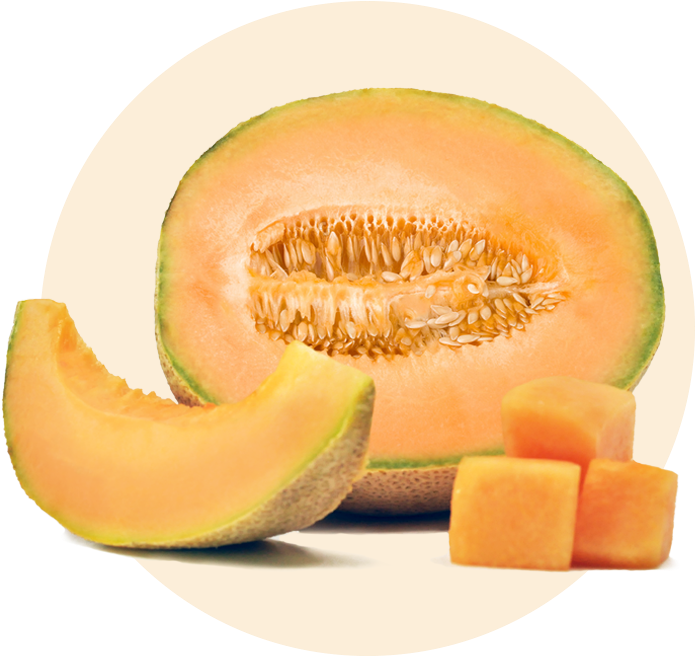 Cantaloupe Slice Download Free Image Transparent PNG Image