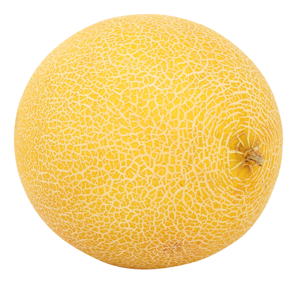 Cantaloupe Yellow Free Clipart HD Transparent PNG Image