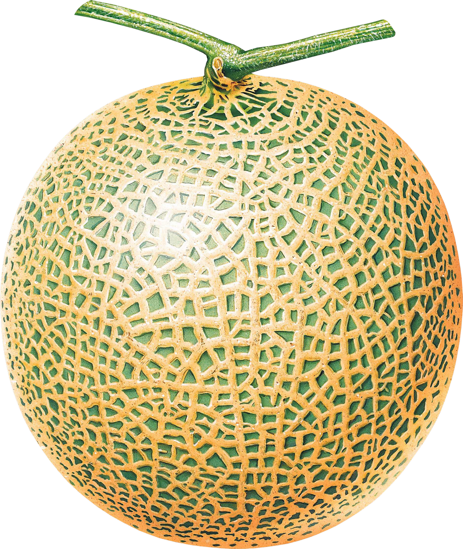 Cantaloupe Yellow Free Transparent Image HQ Transparent PNG Image