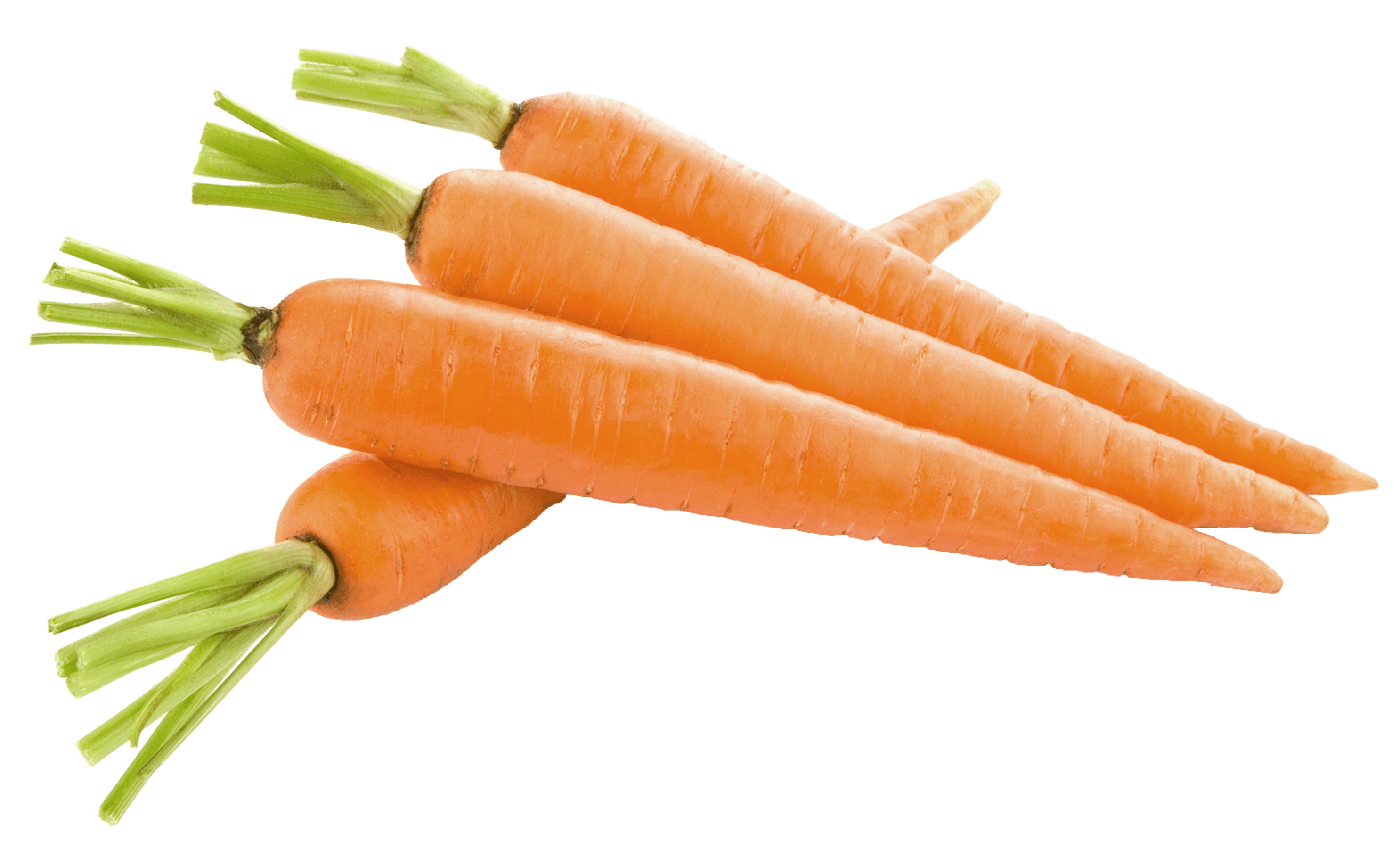 Carrot Png Image Transparent PNG Image