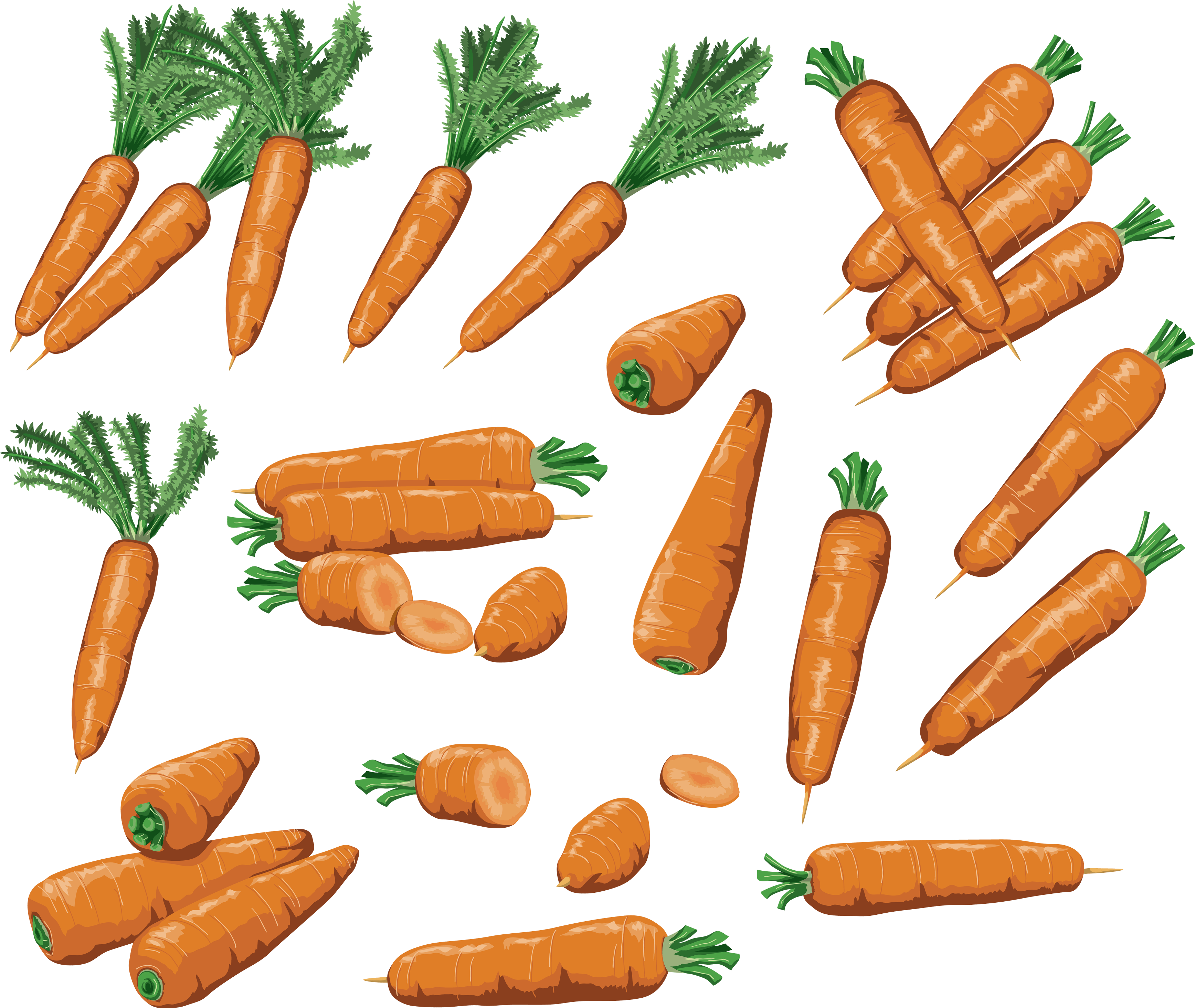 Carrots Png Image Transparent PNG Image