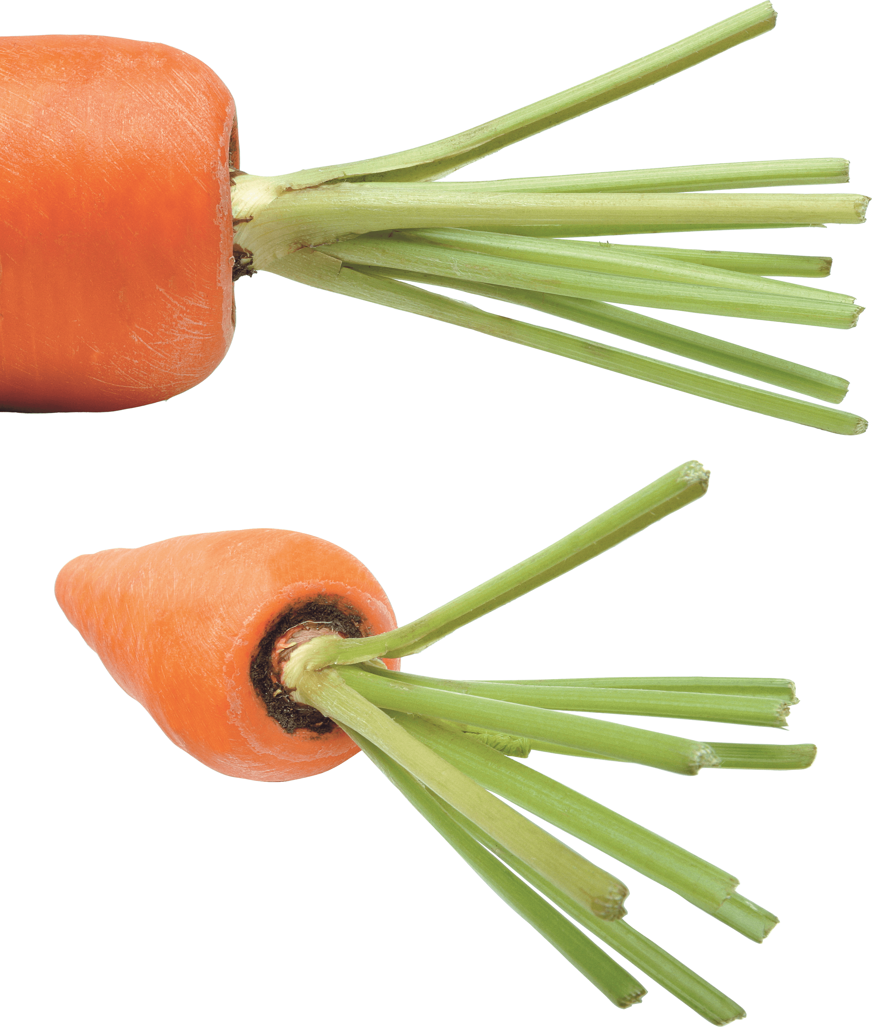 Carrot Png Image Transparent PNG Image