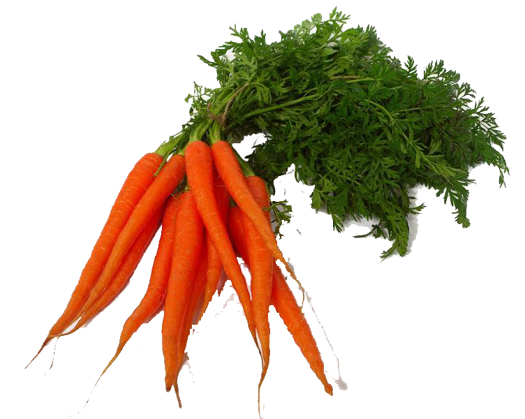 Carrot Png Clipart Transparent PNG Image