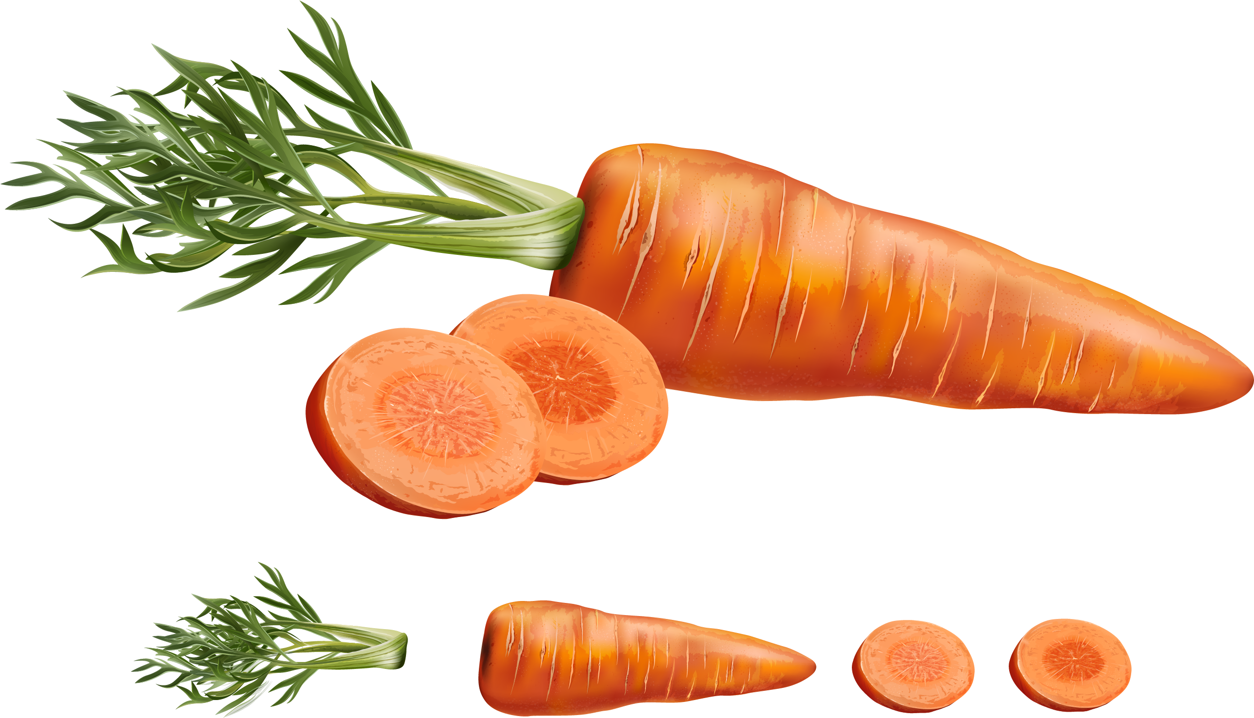 Slice Carrot Slices PNG Image High Quality Transparent PNG Image