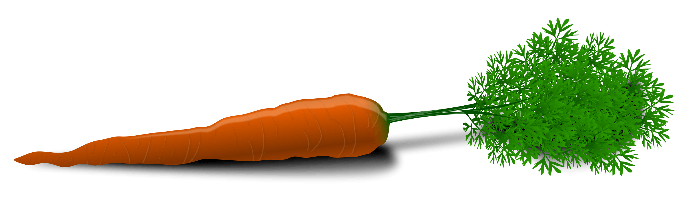 Carrot Png Image Transparent PNG Image