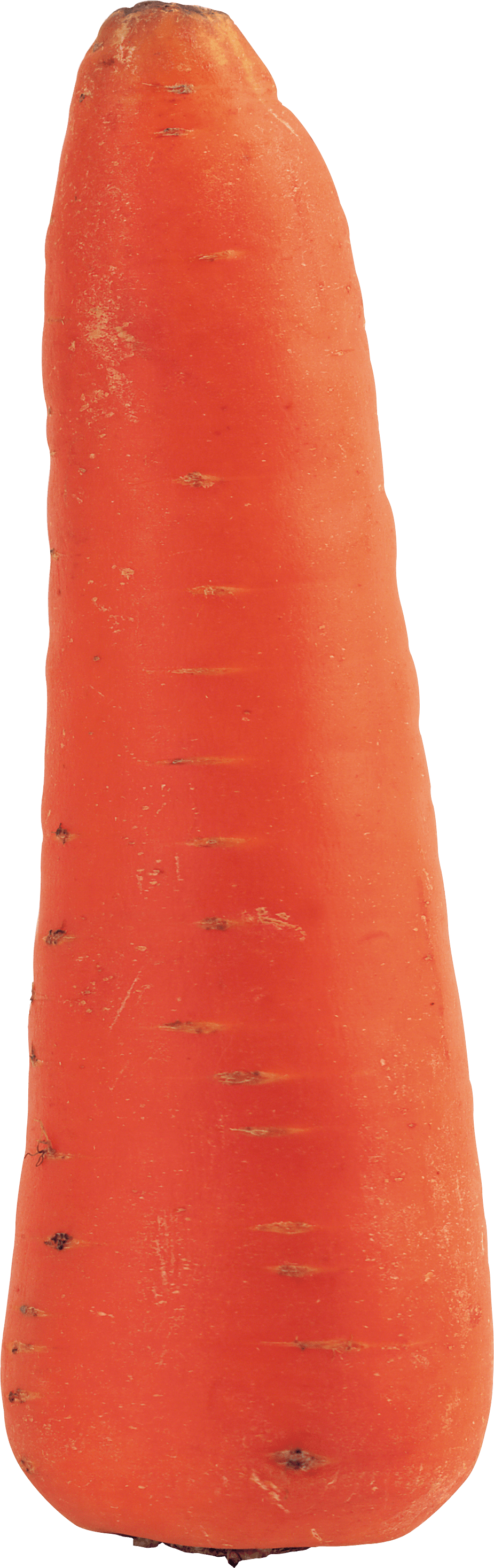 Carrot Png Image Transparent PNG Image