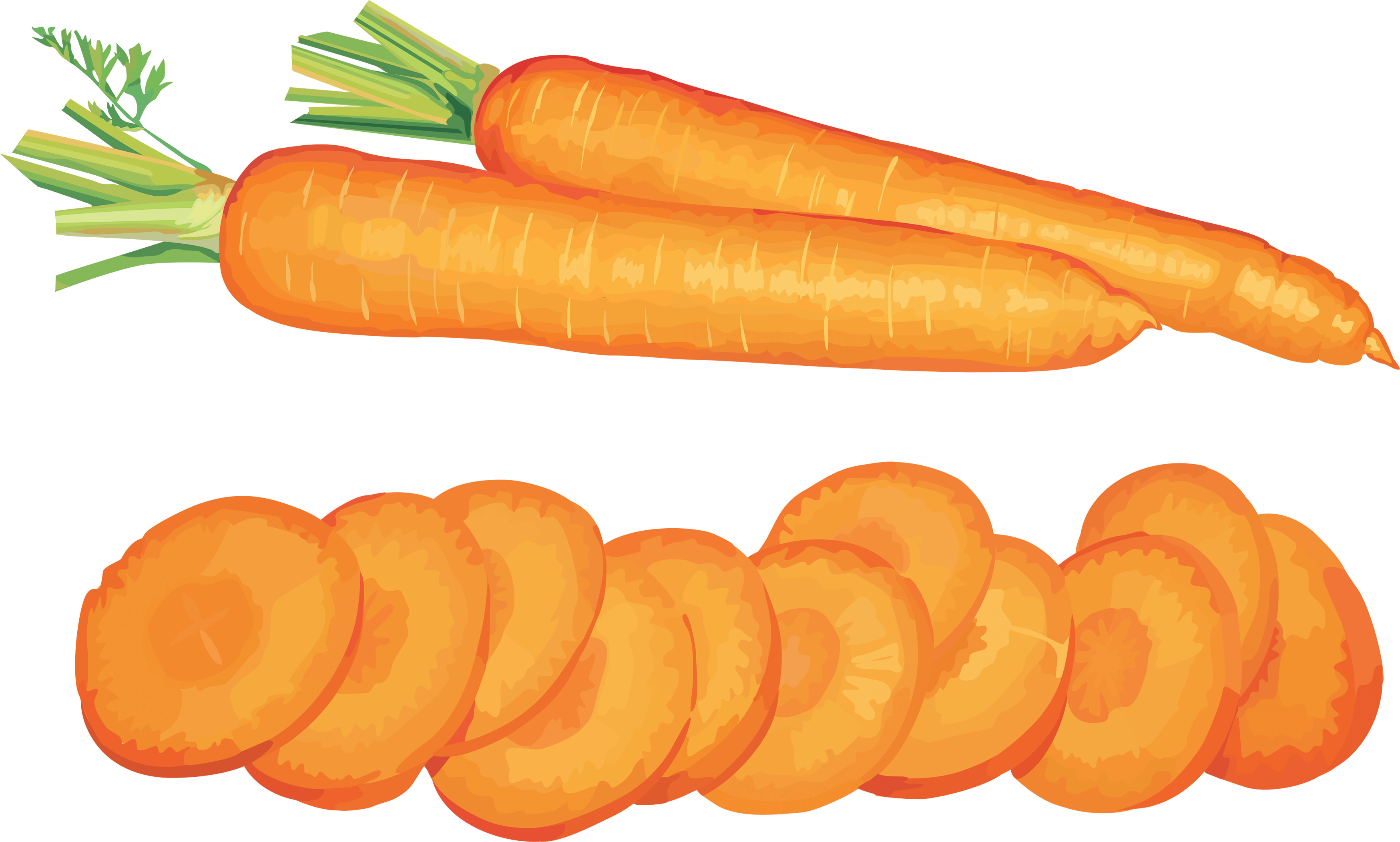 Carrot Png Image Transparent PNG Image