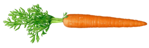 Carrot Transparent Transparent PNG Image