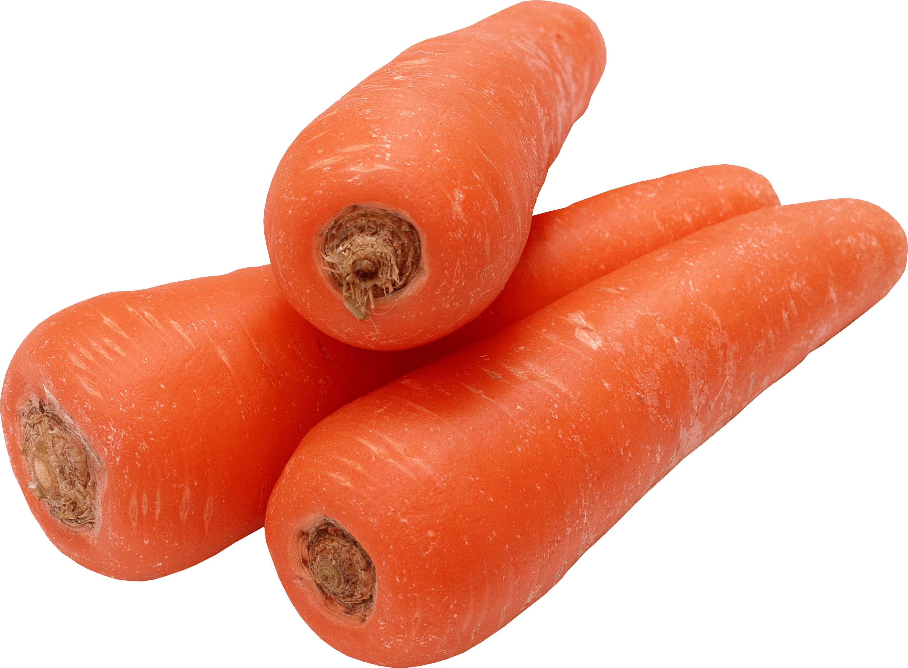 Carrot Png Image Transparent PNG Image