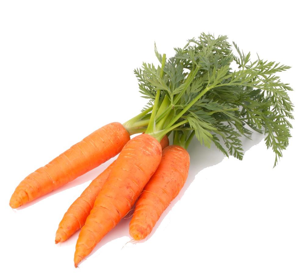 Carrot Png Transparent PNG Image