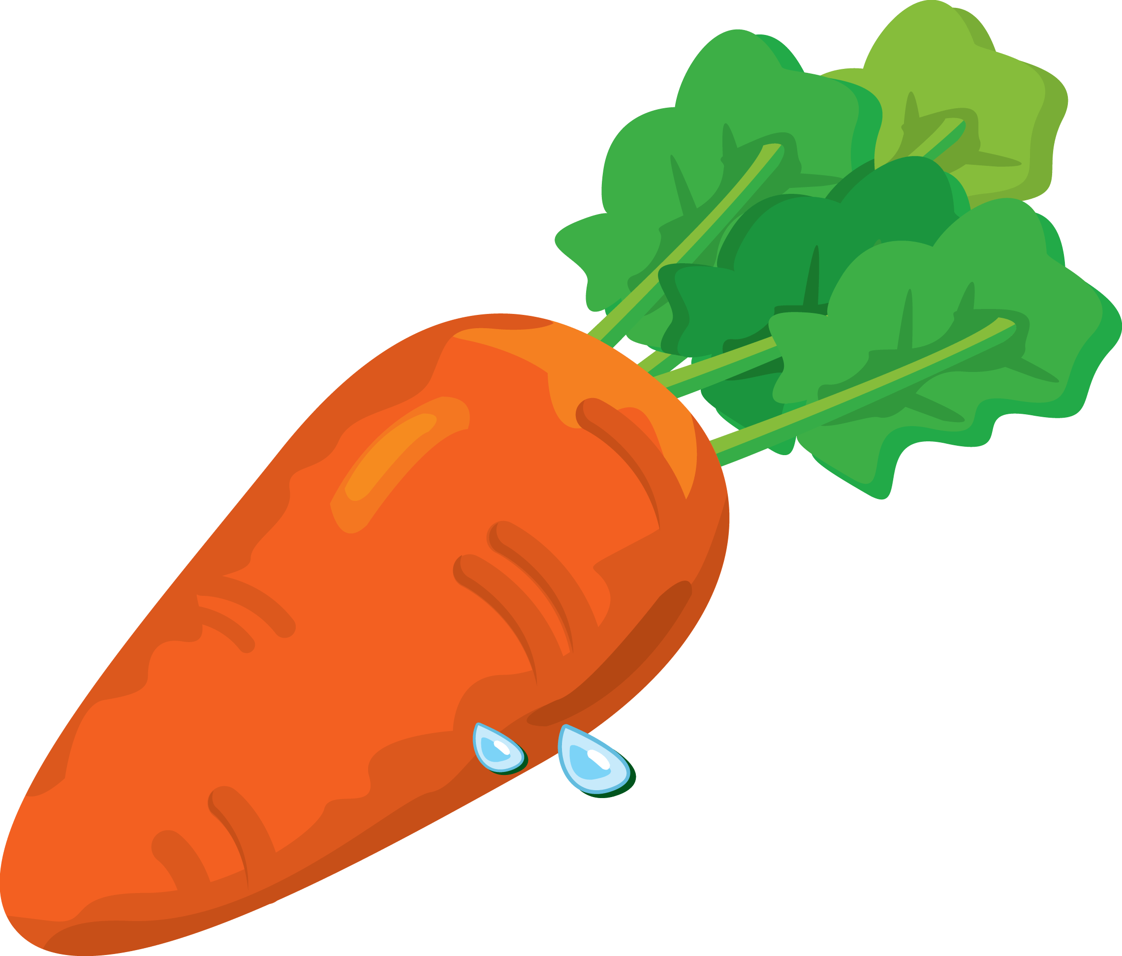 Carrot Png Image Transparent PNG Image