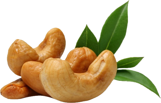 Nut Cashew Organic Download HQ Transparent PNG Image